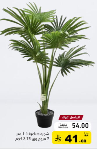 available at أسواق رامز in مملكة العربية السعودية, السعودية, سعودية - القطيف‎
