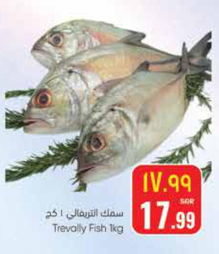 available at ستي فلاور in مملكة العربية السعودية, السعودية, سعودية - حائل‎
