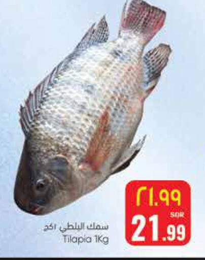 available at ستي فلاور in مملكة العربية السعودية, السعودية, سعودية - الجبيل‎