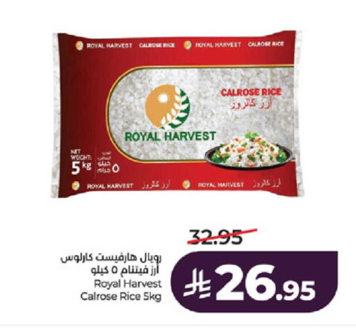 available at لولو هايبرماركت in مملكة العربية السعودية, السعودية, سعودية - مكة المكرمة