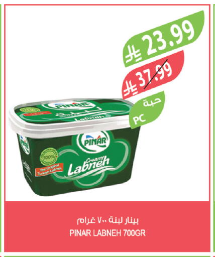 available at المزرعة in مملكة العربية السعودية, السعودية, سعودية - الخرج