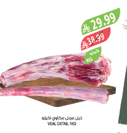 available at المزرعة in مملكة العربية السعودية, السعودية, سعودية - عرعر
