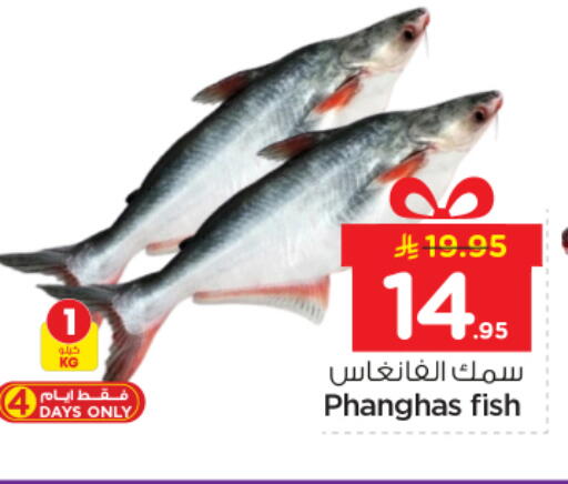 available at نستو in مملكة العربية السعودية, السعودية, سعودية - الرياض