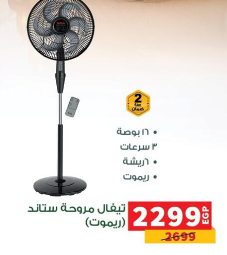 available at بنده in Egypt - القاهرة