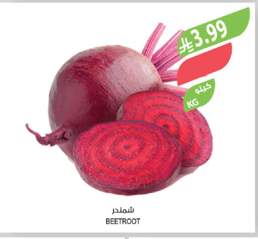 Beetroot available at المزرعة in مملكة العربية السعودية, السعودية, سعودية - سكاكا
