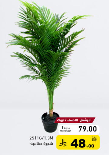available at Aswaq Ramez in KSA, Saudi Arabia, Saudi - Qatif