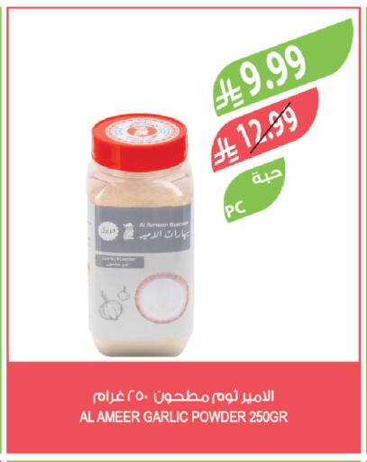 Garlic available at المزرعة in مملكة العربية السعودية, السعودية, سعودية - جدة