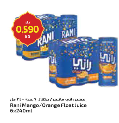 Mango Orange available at Grand Costo in Kuwait - Ahmadi Governorate