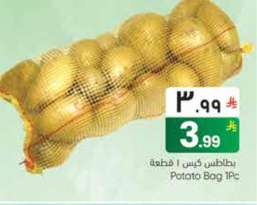 Potato available at ستي فلاور in مملكة العربية السعودية, السعودية, سعودية - نجران