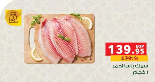 available at بنده in Egypt - القاهرة