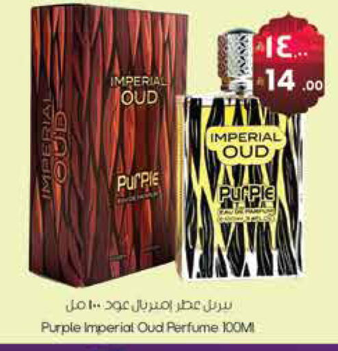 available at ستي فلاور in مملكة العربية السعودية, السعودية, سعودية - نجران