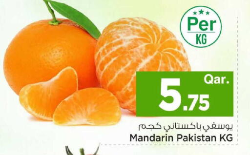 Mandarin from Pakistan available at مارك & سيف in قطر - الشحانية