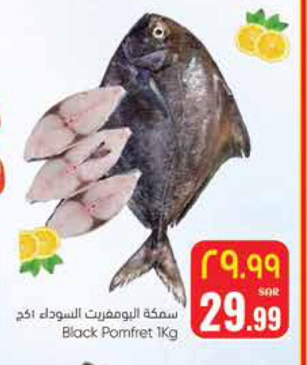 available at ستي فلاور in مملكة العربية السعودية, السعودية, سعودية - حائل‎