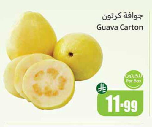 Guava available at Othaim Markets in KSA, Saudi Arabia, Saudi - Bishah