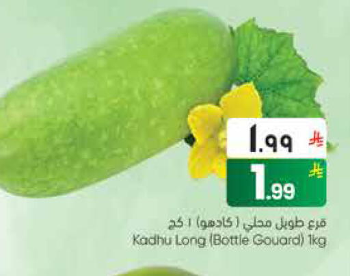 available at ستي فلاور in مملكة العربية السعودية, السعودية, سعودية - نجران