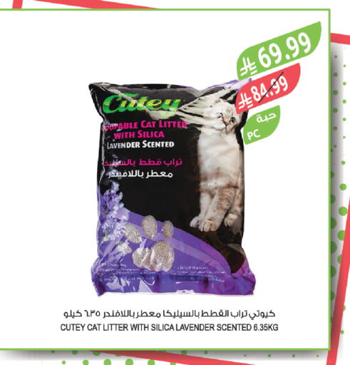 available at Farm  in KSA, Saudi Arabia, Saudi - Tabuk