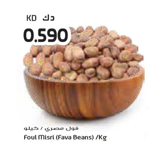 available at جراند كوستو in الكويت - محافظة الأحمدي