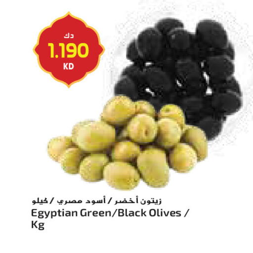 available at جراند كوستو in الكويت - محافظة الأحمدي