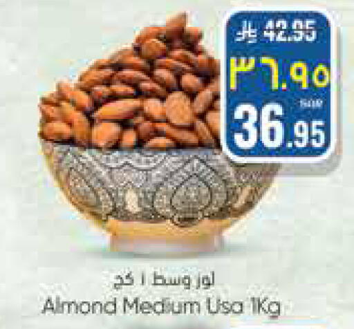 available at City Flower in KSA, Saudi Arabia, Saudi - Hail