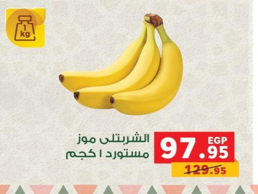 available at بنده in Egypt - القاهرة