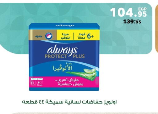 available at بنده in Egypt - القاهرة