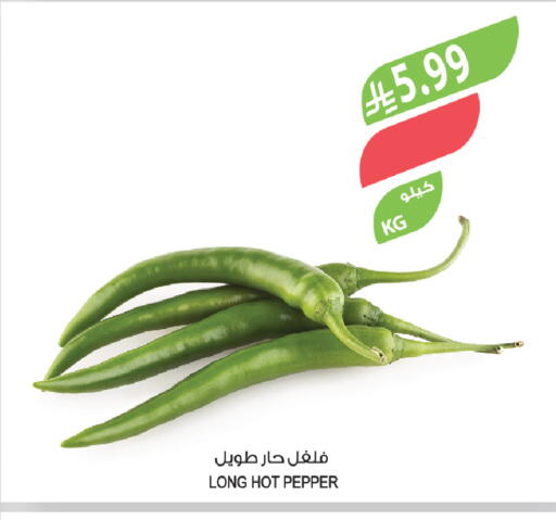 Pepper available at المزرعة in مملكة العربية السعودية, السعودية, سعودية - الباحة