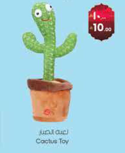 available at ستي فلاور in مملكة العربية السعودية, السعودية, سعودية - نجران