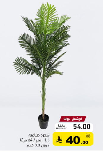 available at Aswaq Ramez in KSA, Saudi Arabia, Saudi - Qatif