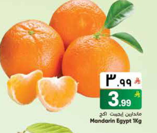 Mandarin from Egypt available at ستي فلاور in مملكة العربية السعودية, السعودية, سعودية - الجبيل‎