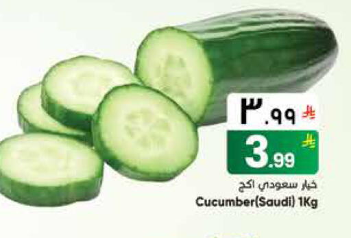Cucumber from Saudi Arabia available at ستي فلاور in مملكة العربية السعودية, السعودية, سعودية - الجبيل‎