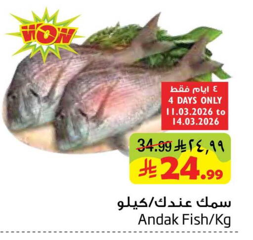 available at ليان هايبر in مملكة العربية السعودية, السعودية, سعودية - المنطقة الشرقية