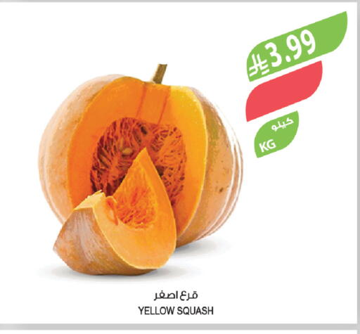 Squash available at المزرعة in مملكة العربية السعودية, السعودية, سعودية - الباحة