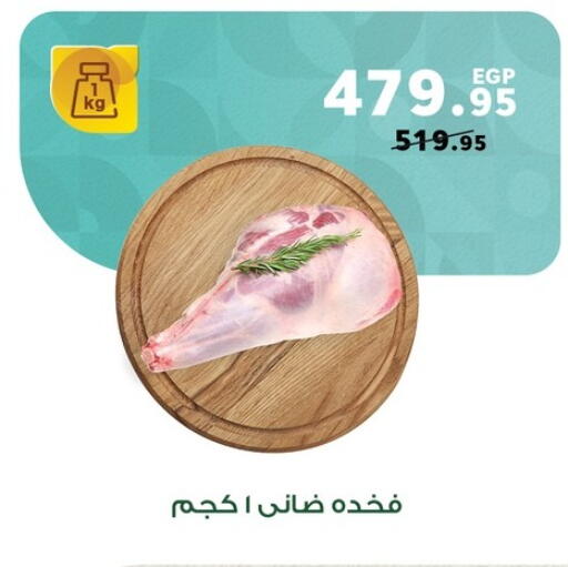 available at Panda  in Egypt - Cairo