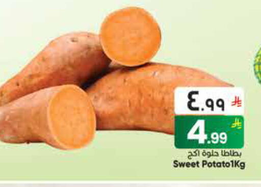 available at ستي فلاور in مملكة العربية السعودية, السعودية, سعودية - سكاكا