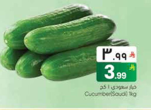 Cucumber from Saudi Arabia available at ستي فلاور in مملكة العربية السعودية, السعودية, سعودية - نجران