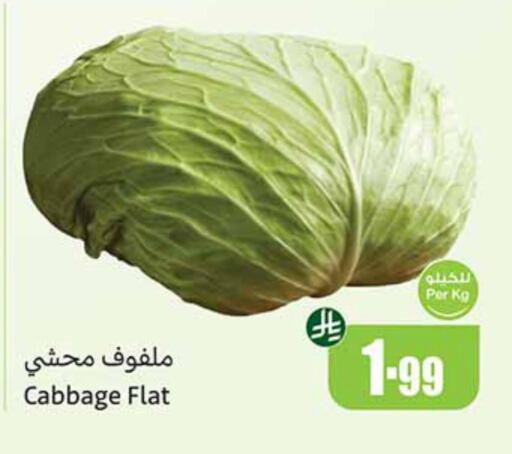 Cabbage available at أسواق عبد الله العثيم in مملكة العربية السعودية, السعودية, سعودية - سكاكا