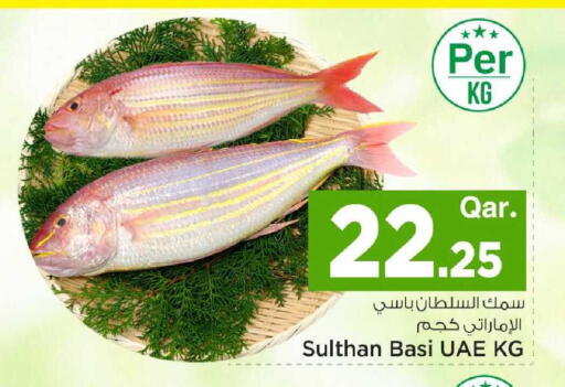 available at Mark & Save  in Qatar - Al-Shahaniya
