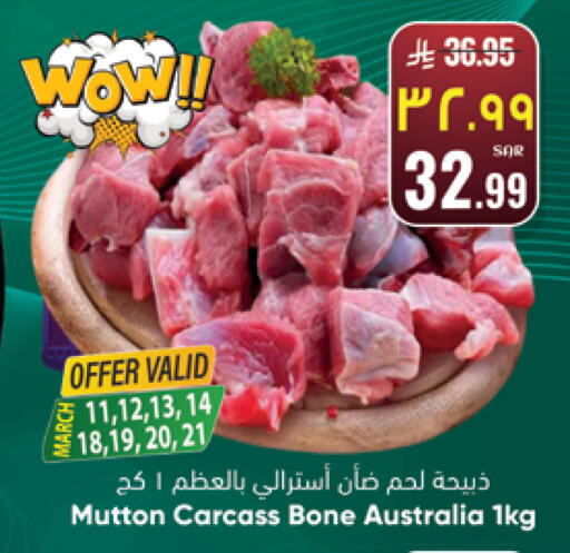 available at City Flower in KSA, Saudi Arabia, Saudi - Jubail