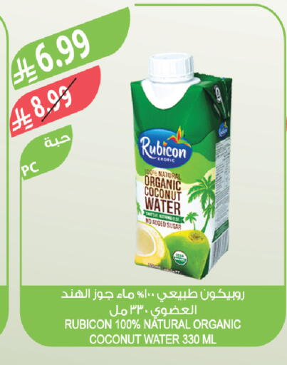 Coconut available at Farm  in KSA, Saudi Arabia, Saudi - Sakaka