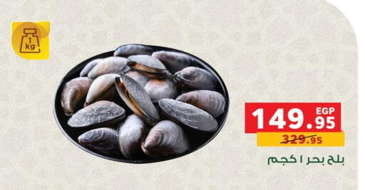 available at بنده in Egypt - القاهرة