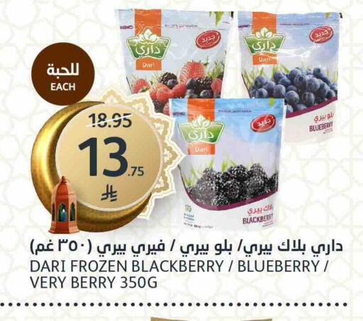 Blueberry BlueBerry Blackberry available at مركز الجزيرة للتسوق in مملكة العربية السعودية, السعودية, سعودية - الرياض
