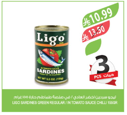 Tomato Chilli available at Farm  in KSA, Saudi Arabia, Saudi - Al Hasa