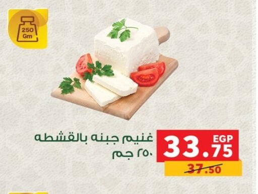 available at بنده in Egypt - القاهرة