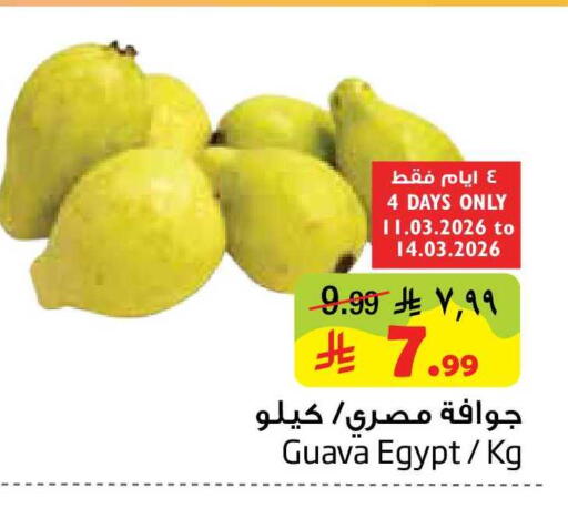 Guava from Egypt available at ليان هايبر in مملكة العربية السعودية, السعودية, سعودية - المنطقة الشرقية