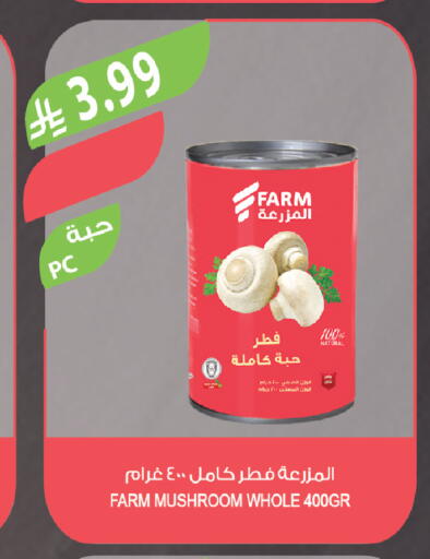 Mushroom available at Farm  in KSA, Saudi Arabia, Saudi - Sakaka