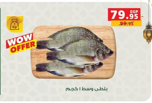 available at بنده in Egypt - القاهرة