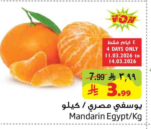 Mandarin from Egypt available at ليان هايبر in مملكة العربية السعودية, السعودية, سعودية - المنطقة الشرقية