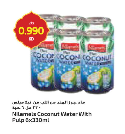 Coconut available at Grand Costo in Kuwait - Ahmadi Governorate