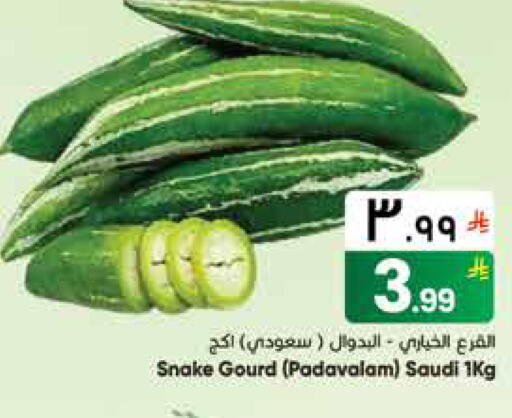 from Saudi Arabia available at ستي فلاور in مملكة العربية السعودية, السعودية, سعودية - الجبيل‎