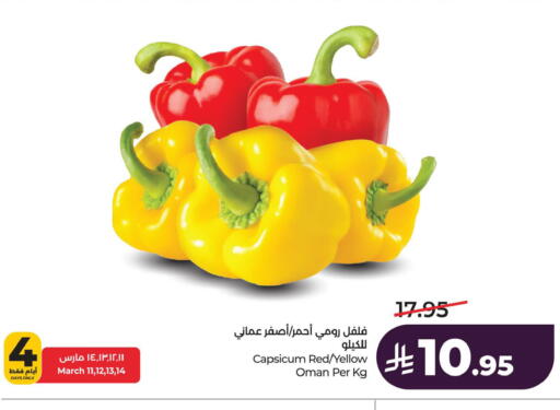 Capsicum from Oman available at لولو هايبرماركت in مملكة العربية السعودية, السعودية, سعودية - المنطقة الشرقية